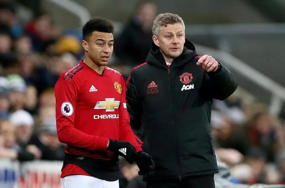 期引入了一 期引入了一